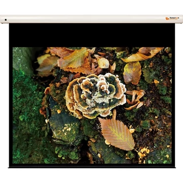 FUNSCREEN 100&quot; (4:3) Premium Plus motoros vetítővászon Méret: 213x157, Látható méret:203x152 cm)