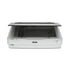 EPSON Filmscanner - Expression 12000XL (A3, 2400x4800 DPI, 12 mp/oldal, USB)